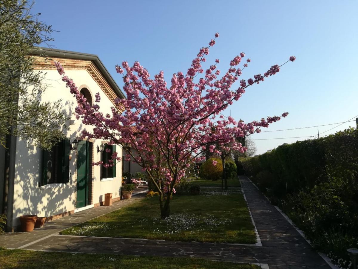 Camera Matrimoniale con Vista Giardino