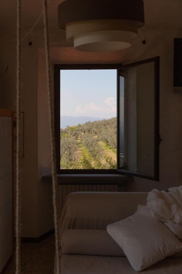 Suite Superior