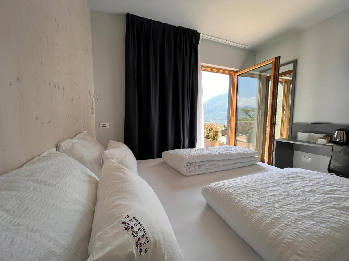 Double or Twin Room Terrace