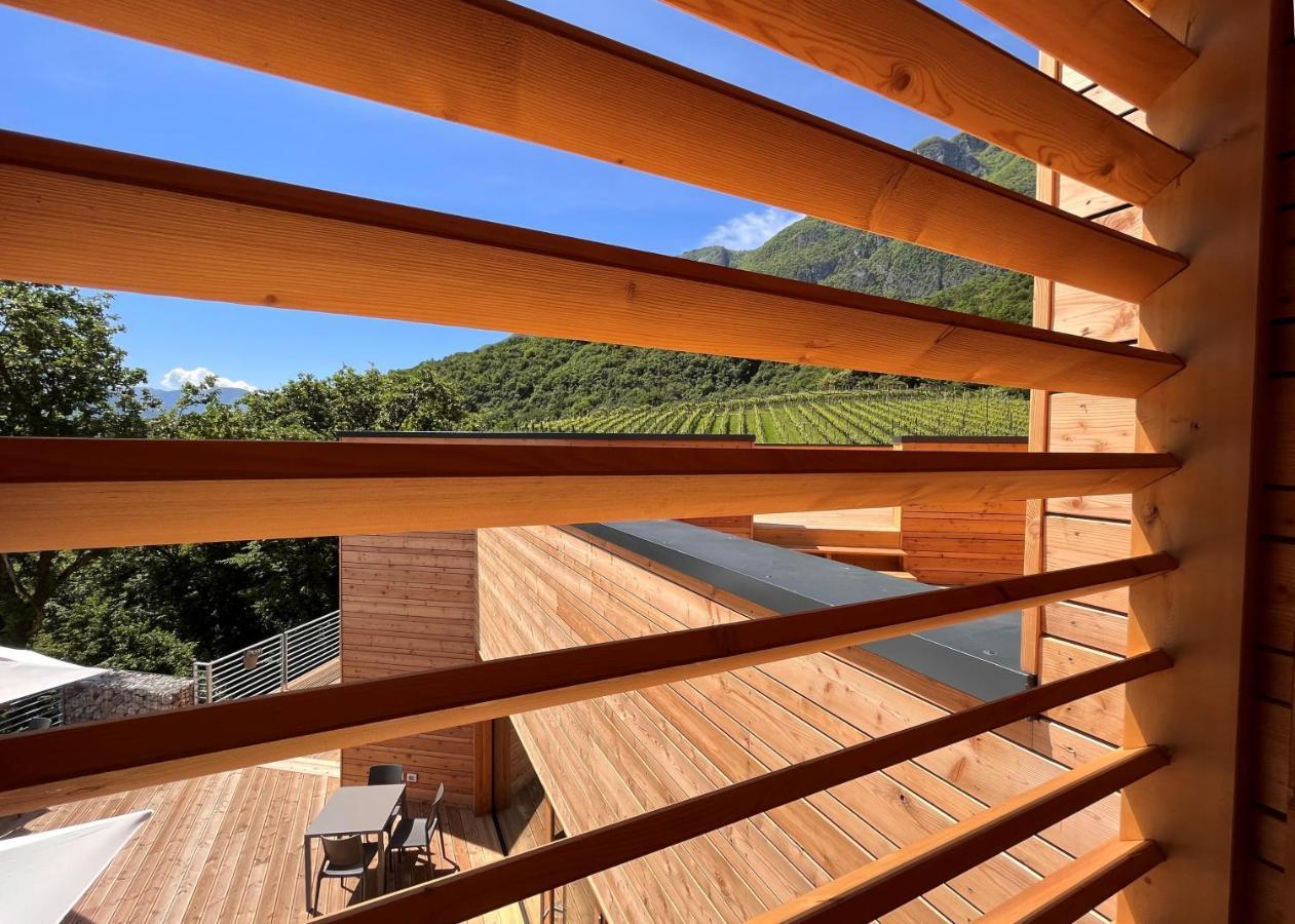 Double or Twin Room Terrace