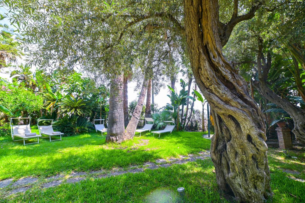 Apartment Garden View