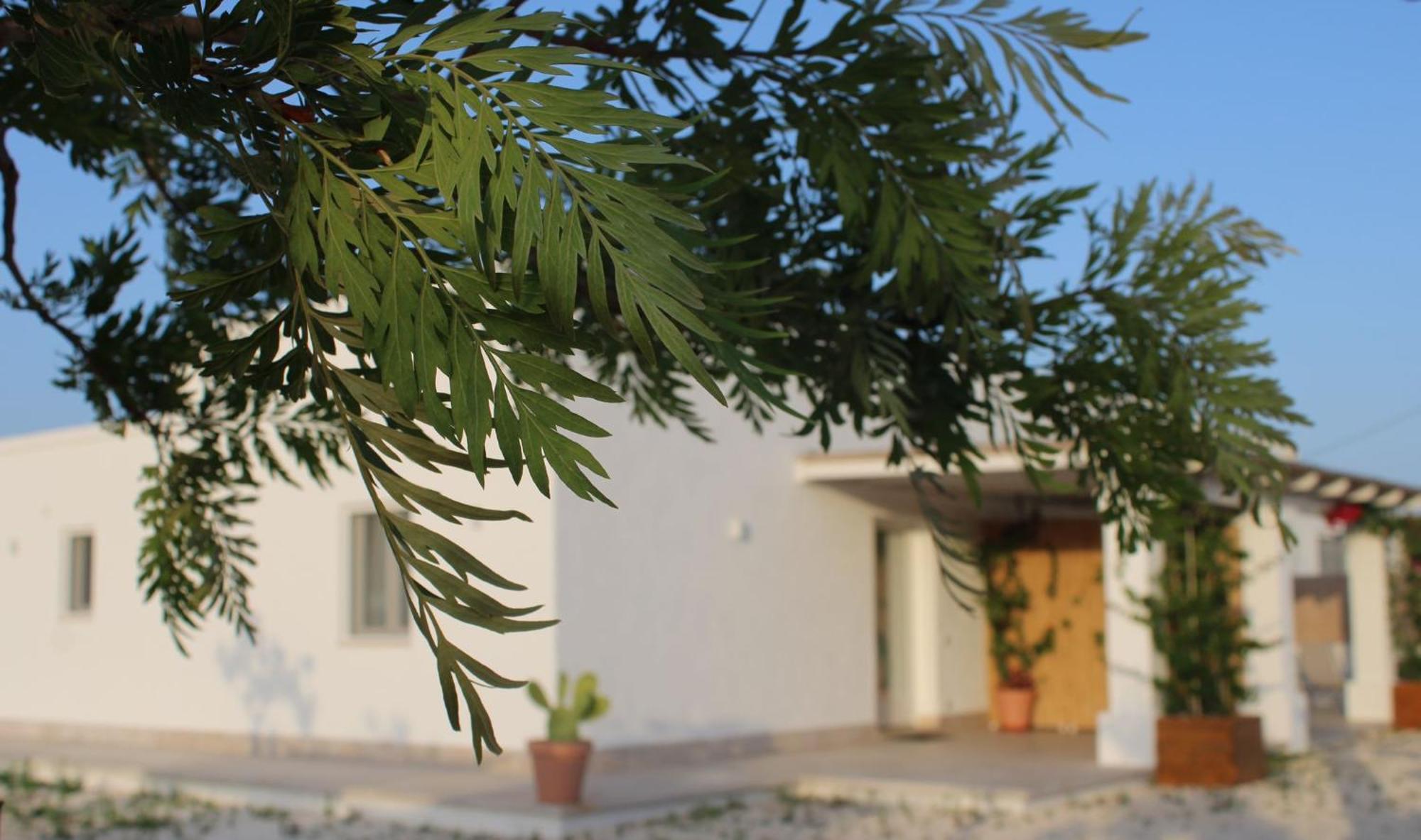 Villa Sea View