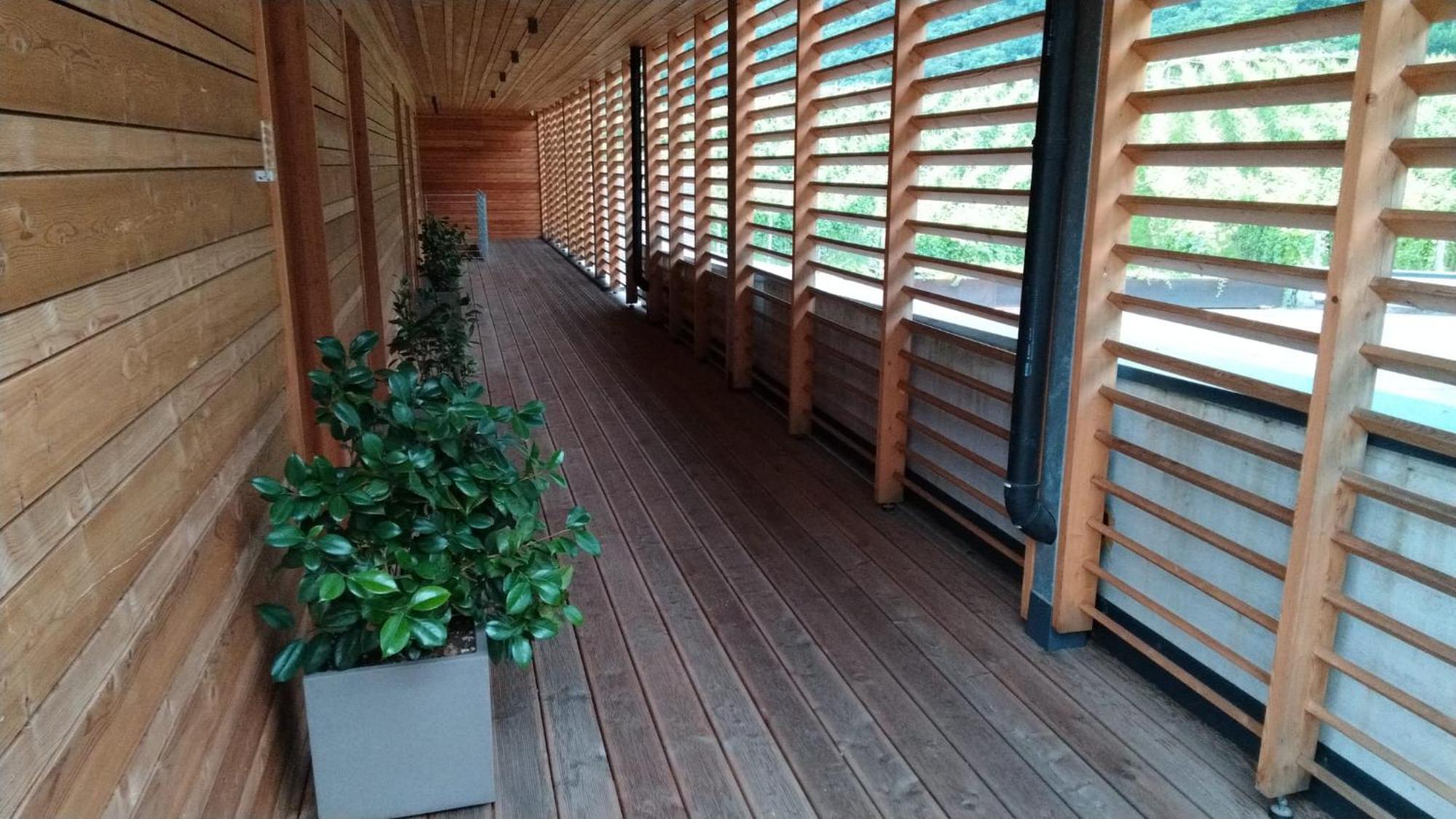Double or Twin Room Terrace