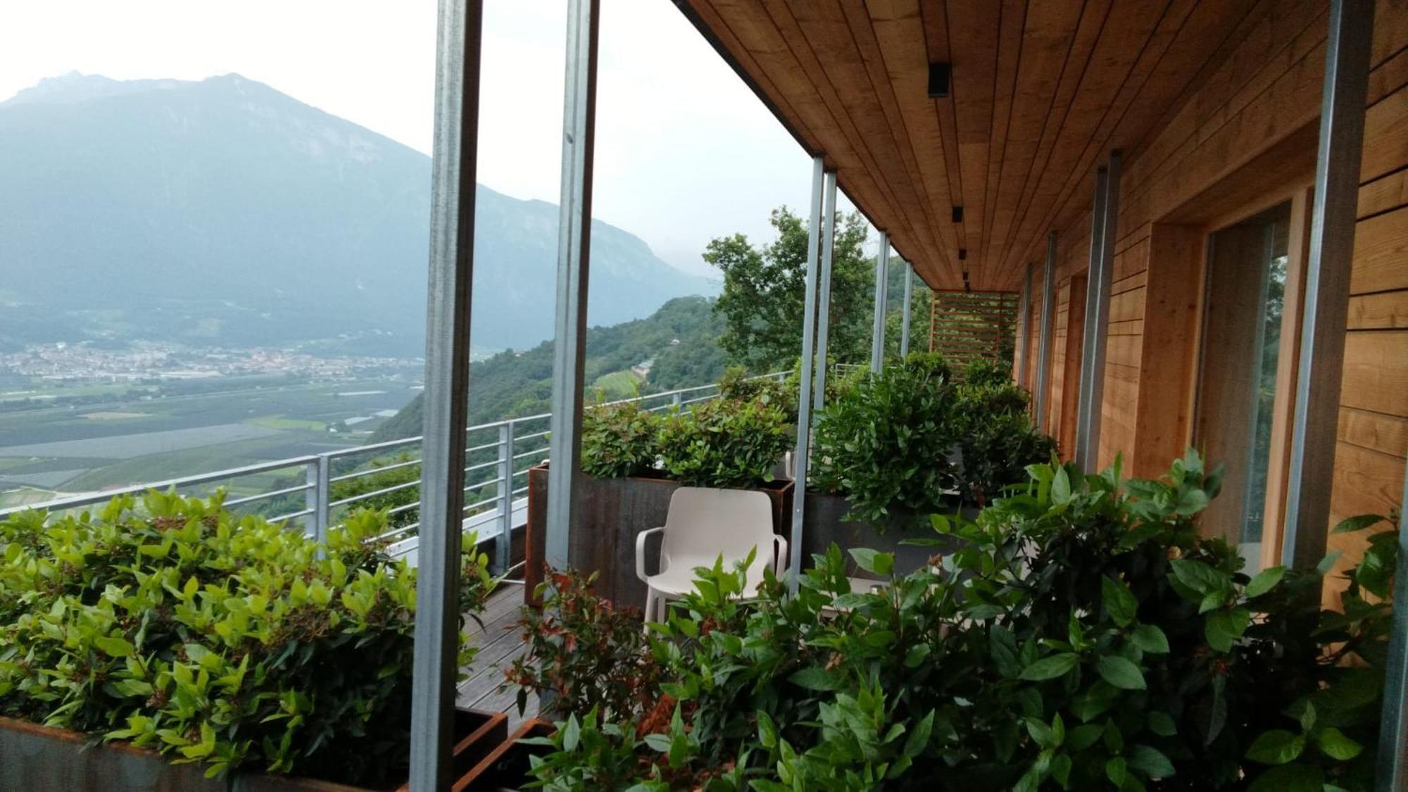Double or Twin Room Terrace