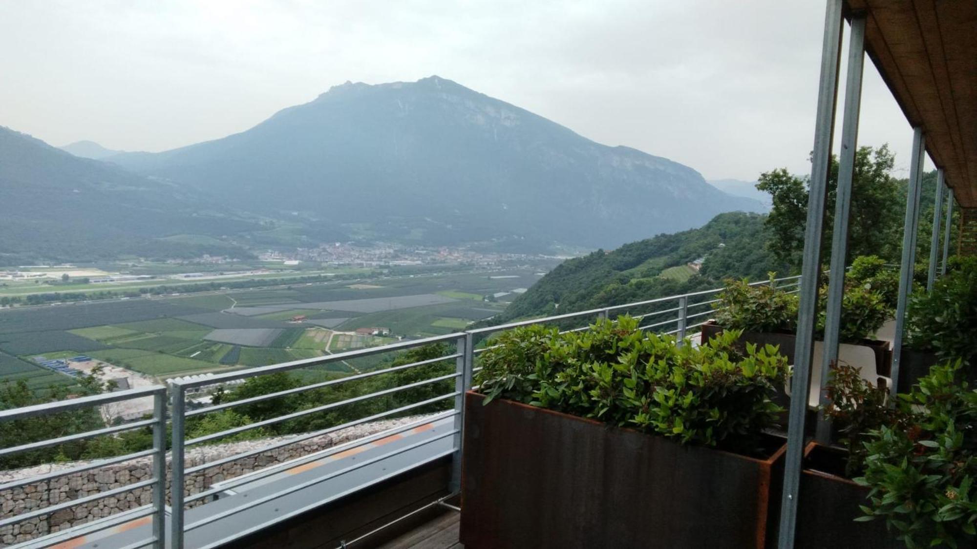 Double or Twin Room Terrace