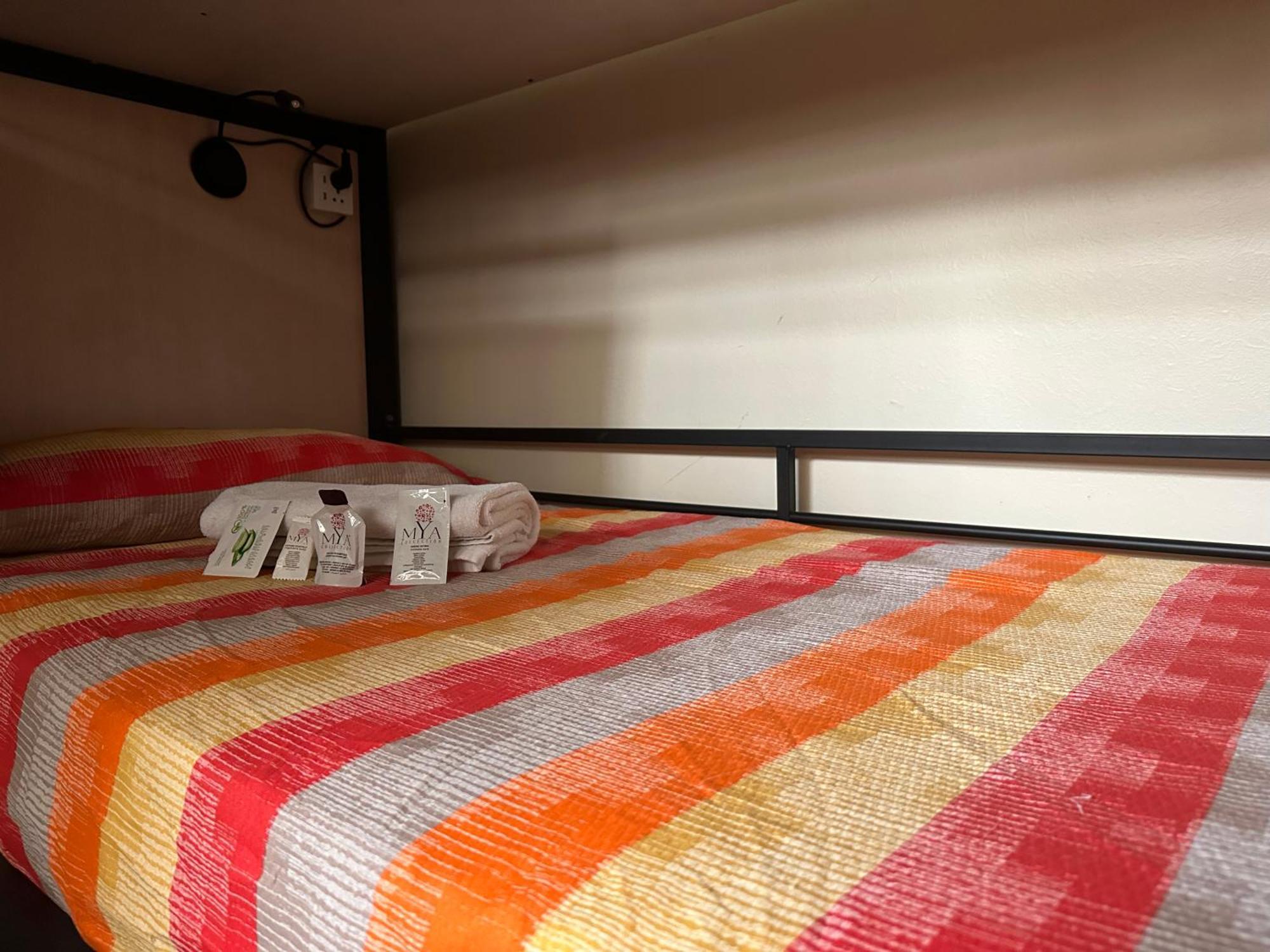 Bunk Bed Mixed Dormitory Room