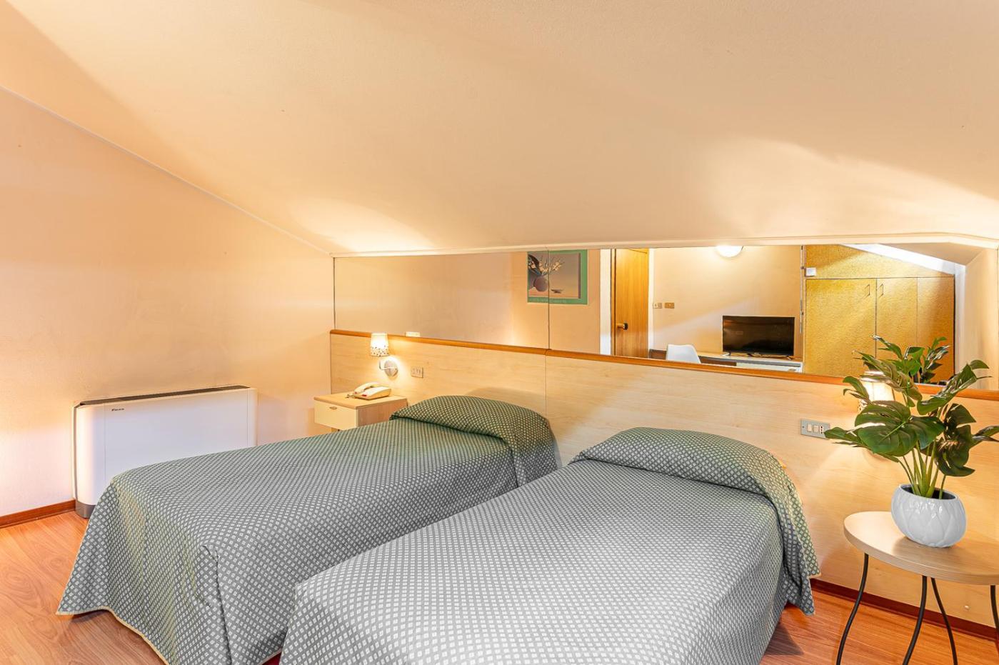Double or Twin Room Attic