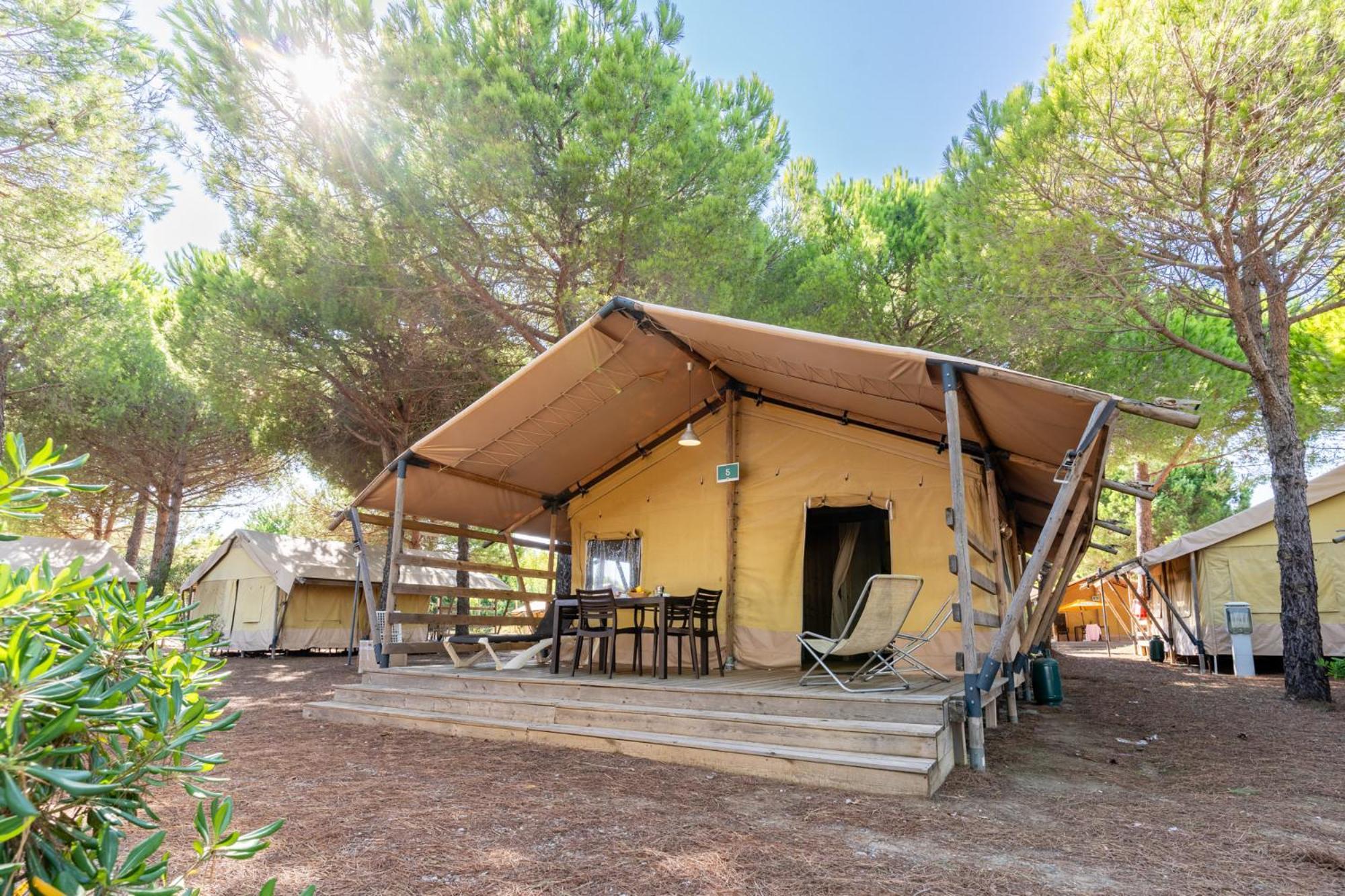 Lodge Tent Pet Not Allowed