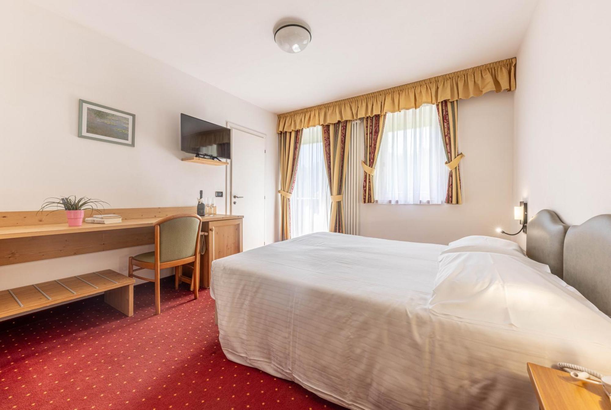 Superior Double or Twin Room Mountain View