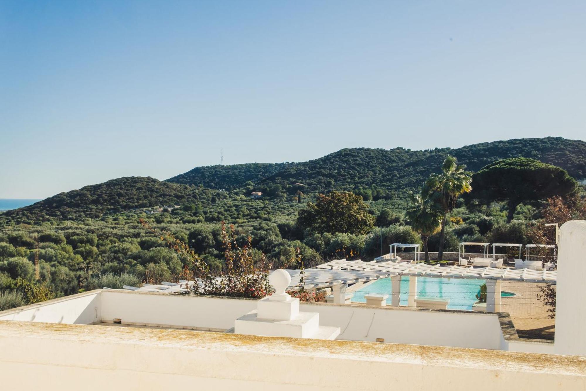 Junior Suite Pool View