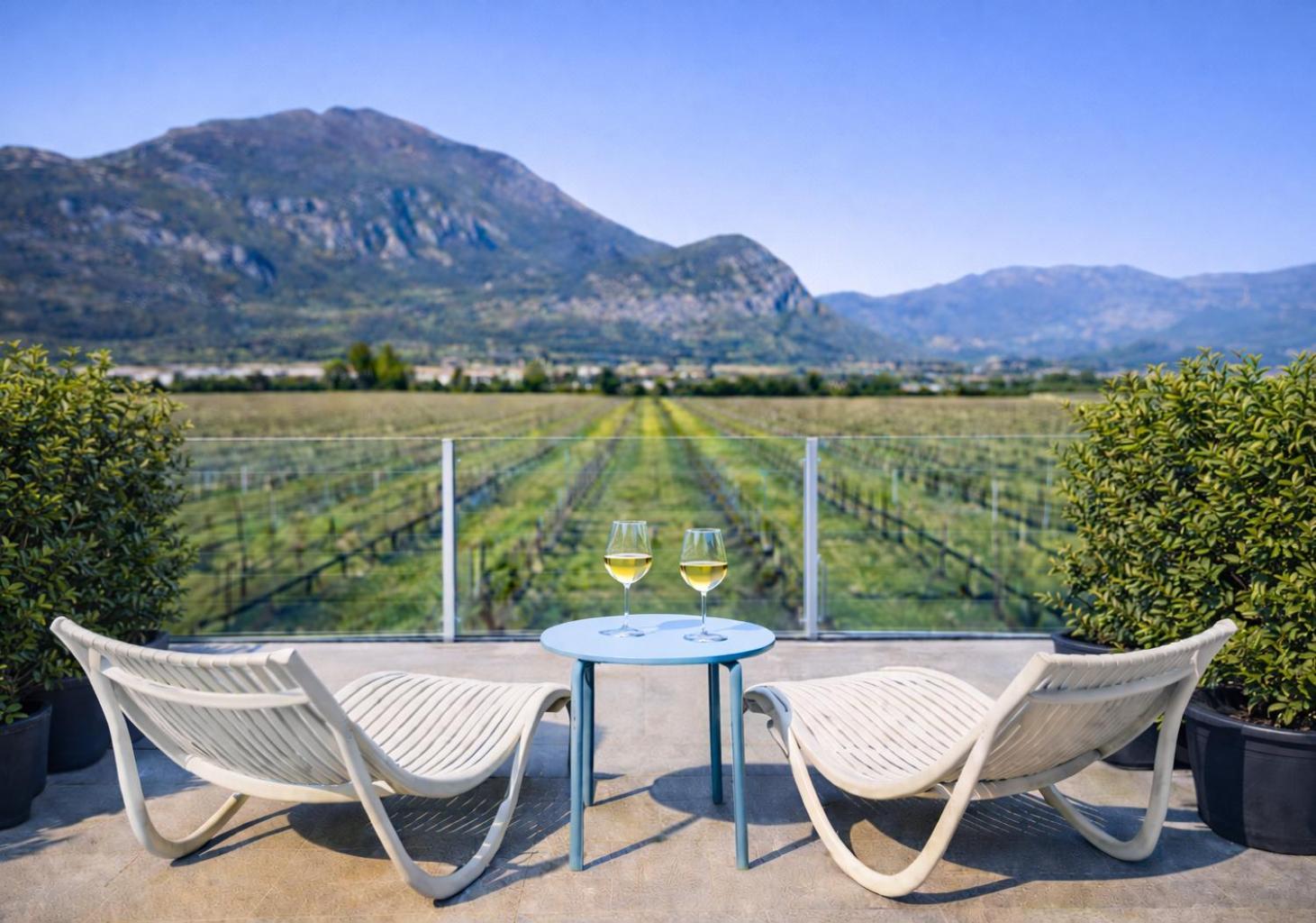 Double or Twin Room Terrace