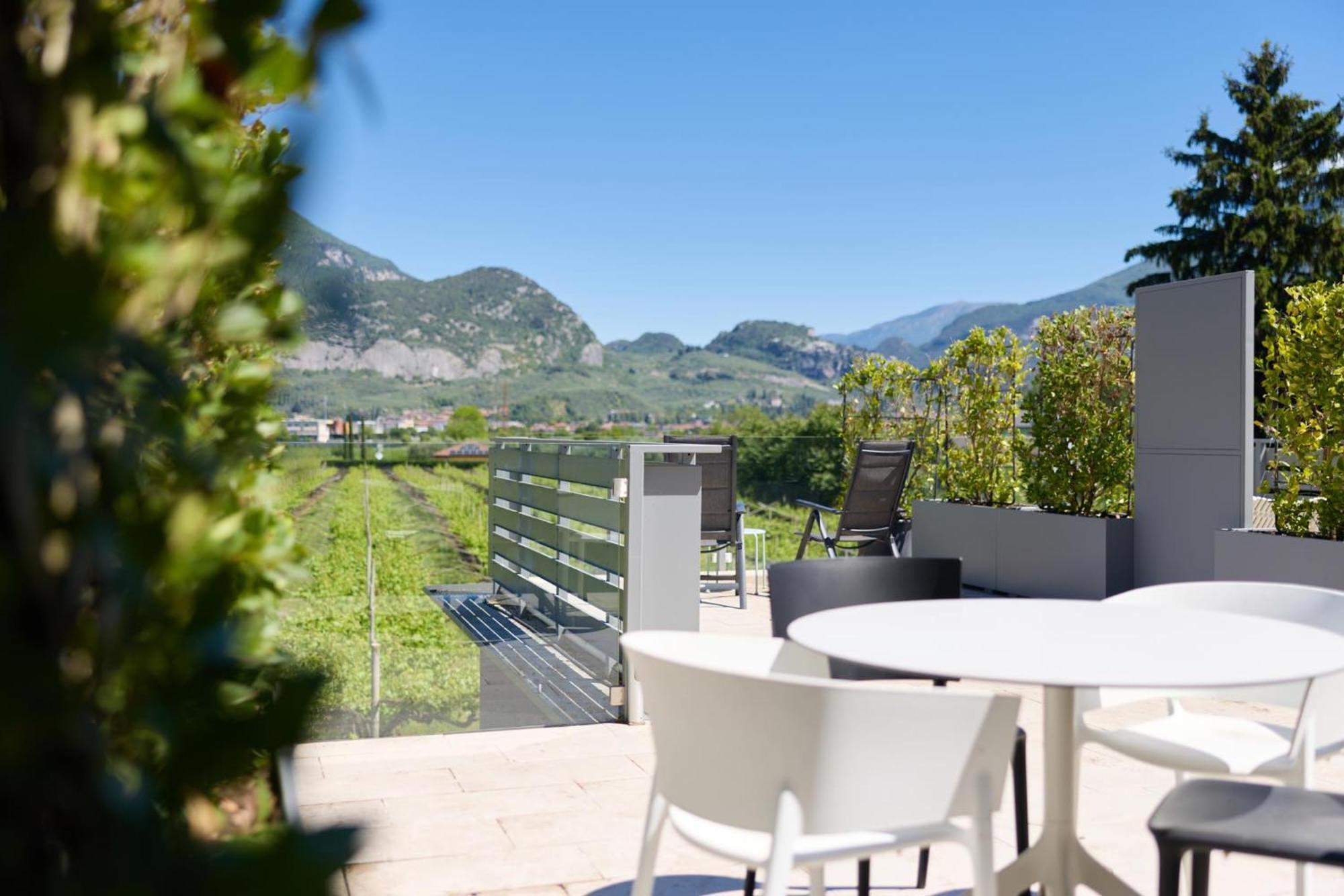 Double or Twin Room Terrace