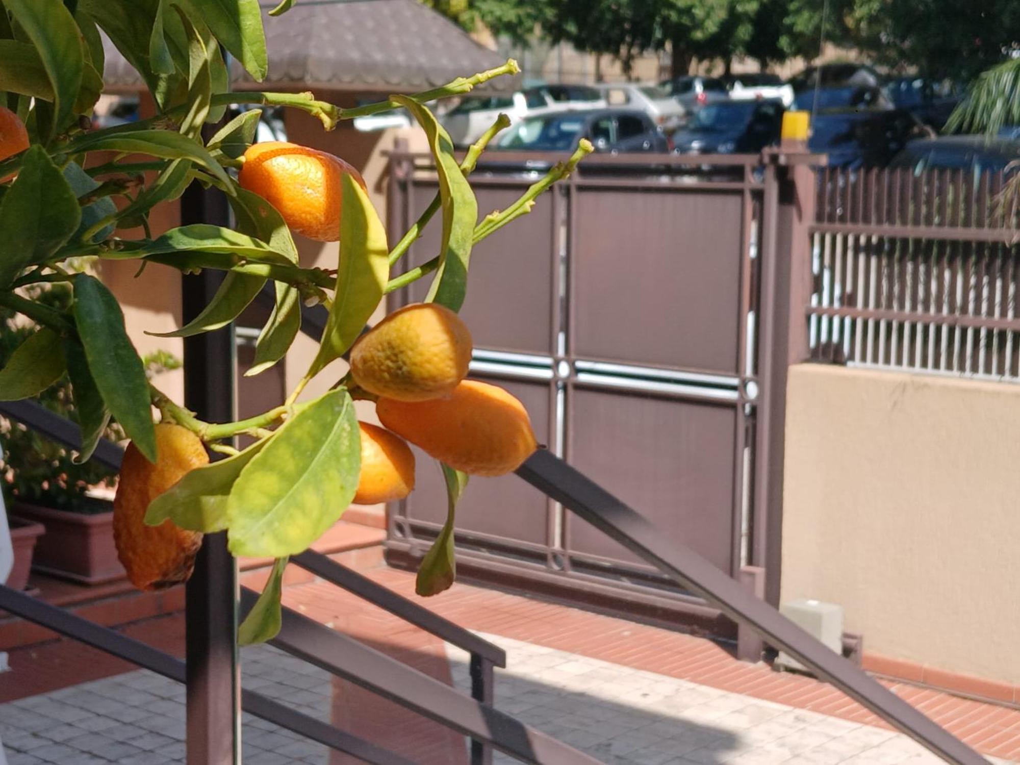 Deluxe Double Room Balcony