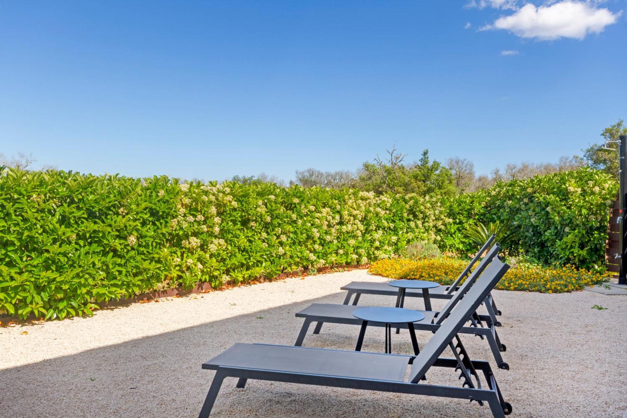 Deluxe Double or Twin Room Garden View