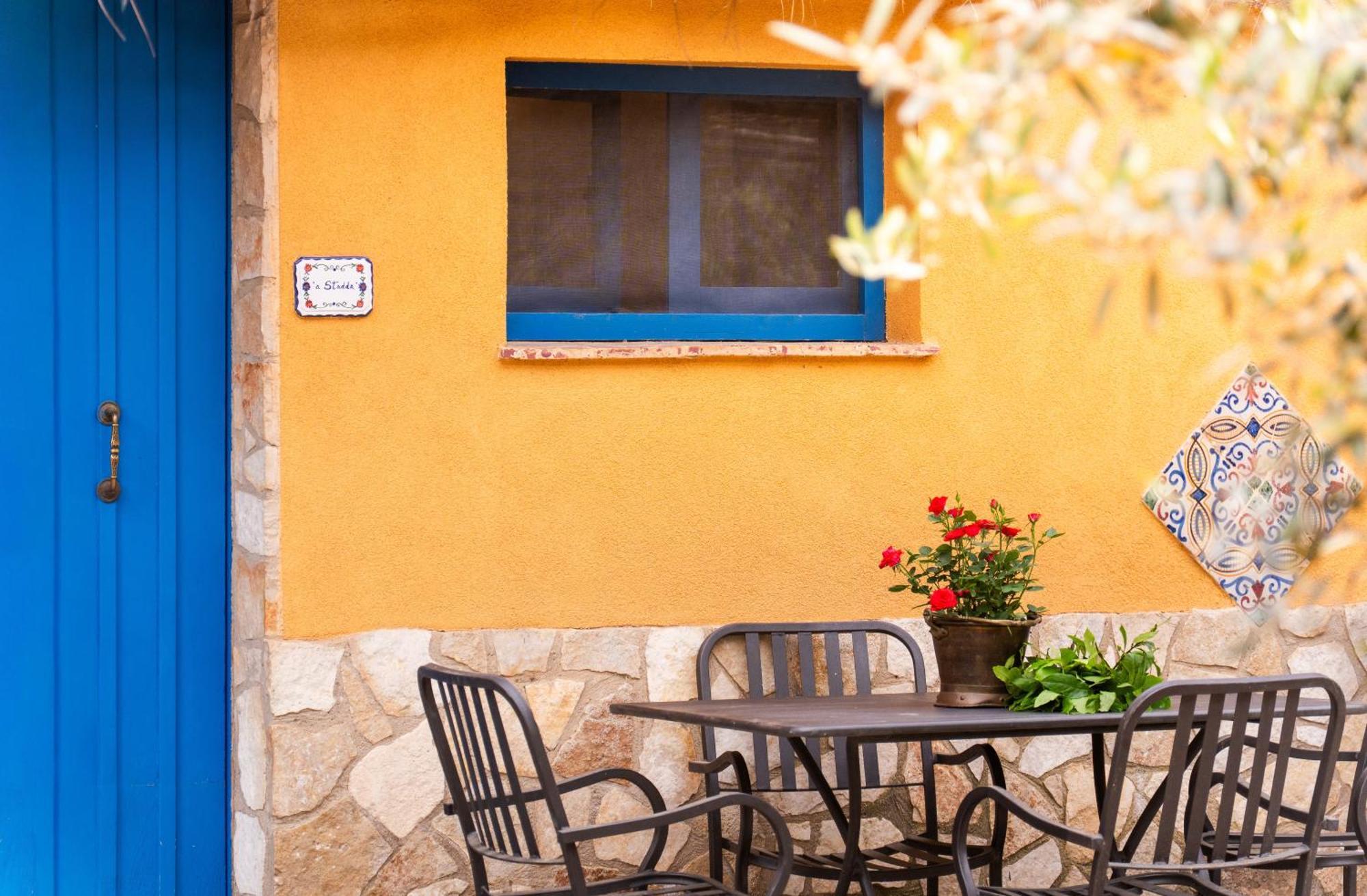 Apartment Terrace