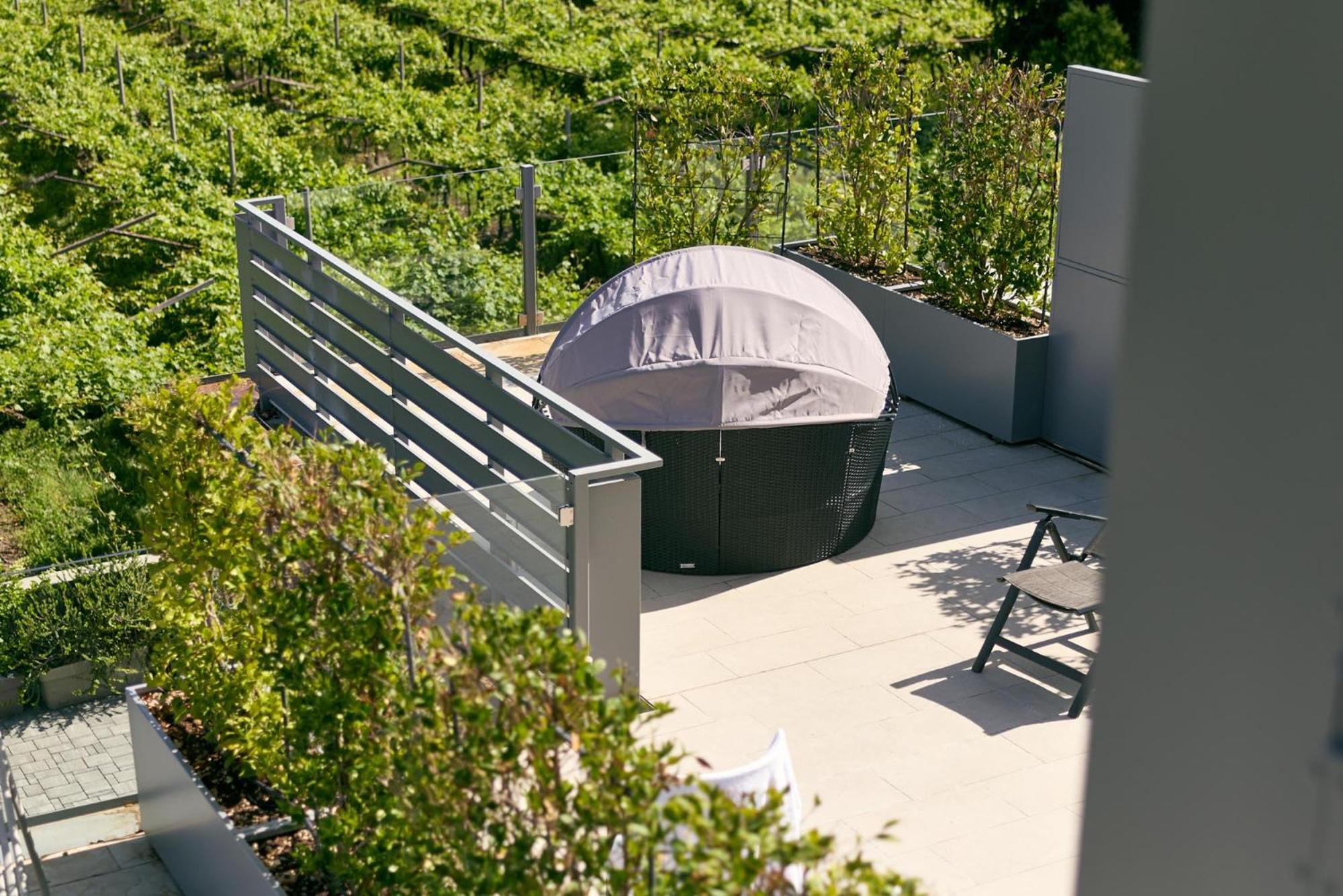 Double or Twin Room Terrace