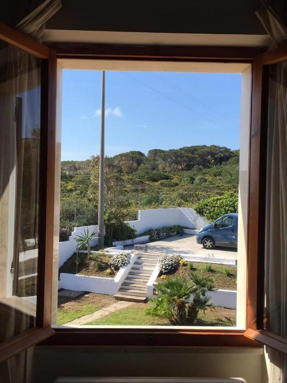 Junior Suite Terrace