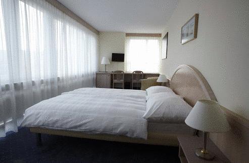 Superior Double or Twin Room,260376409:JPEG
