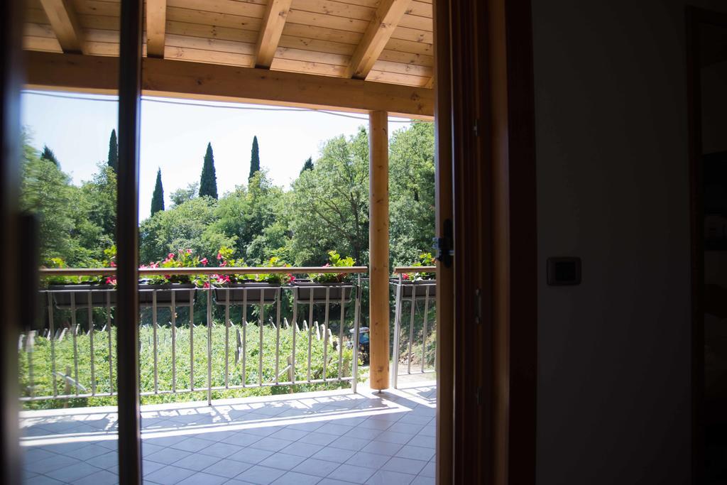 Double Room Terrace Vineyard View