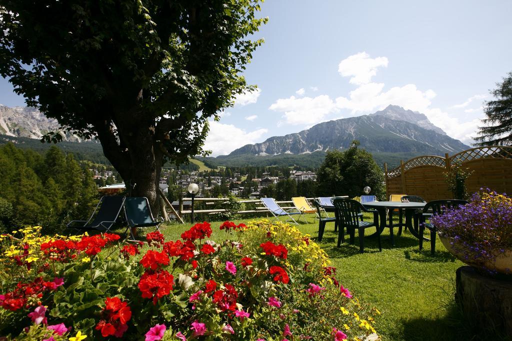Superior Double or Twin Room Mountain View