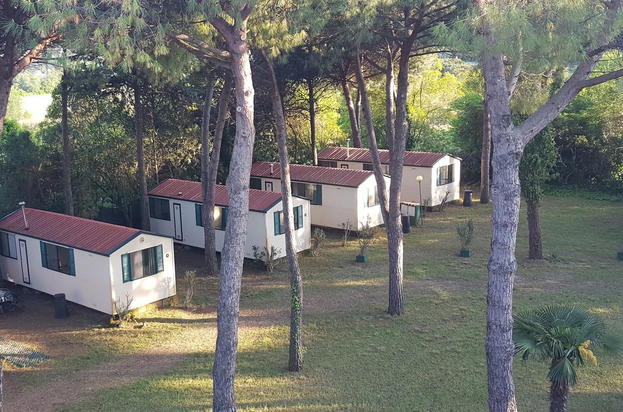 Mobile Home