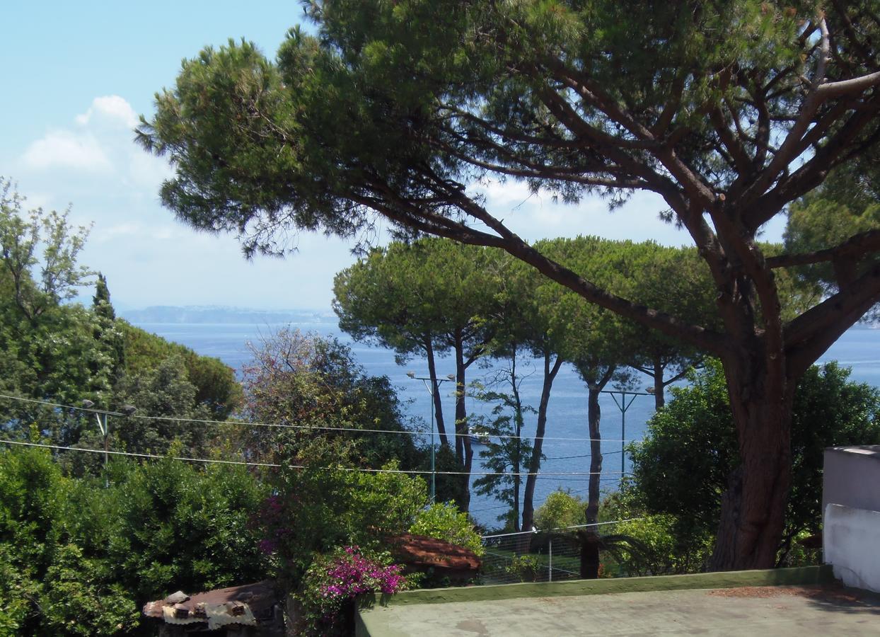 Camera King con Vista Mare