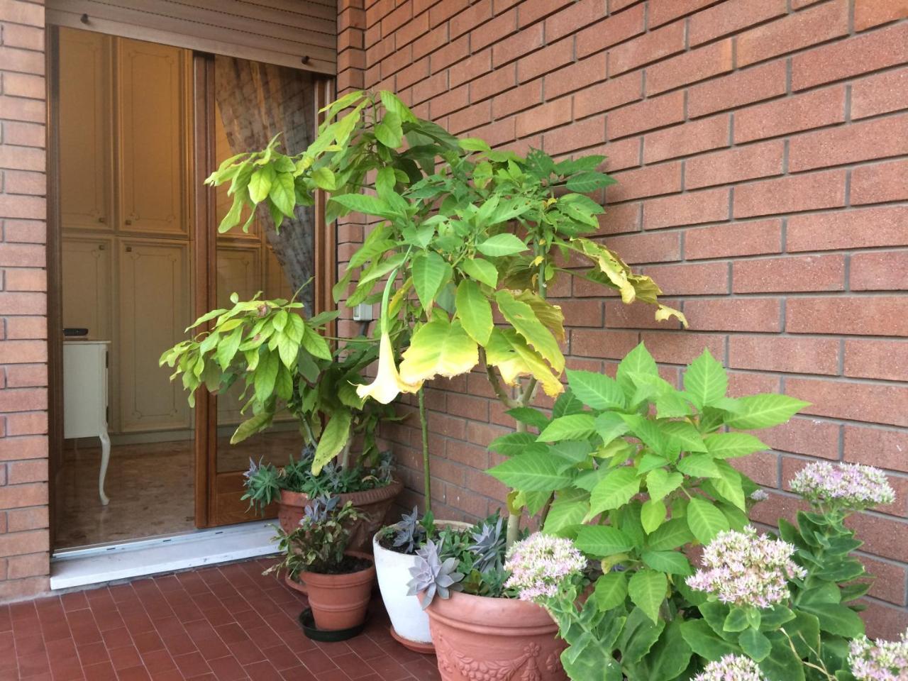 Twin Room Terrace