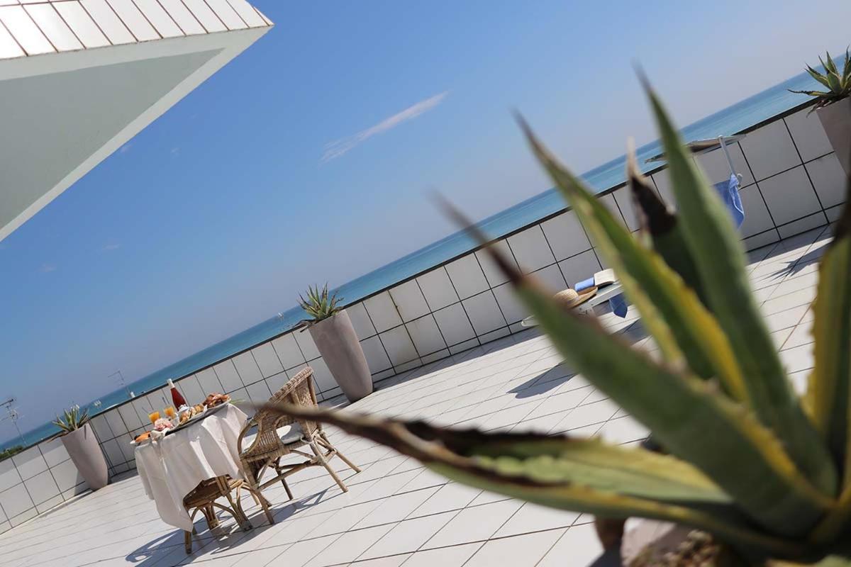 Junior Suite Terrace