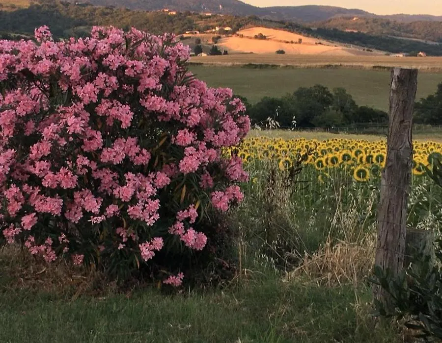 Agriturismo Barbicate-1