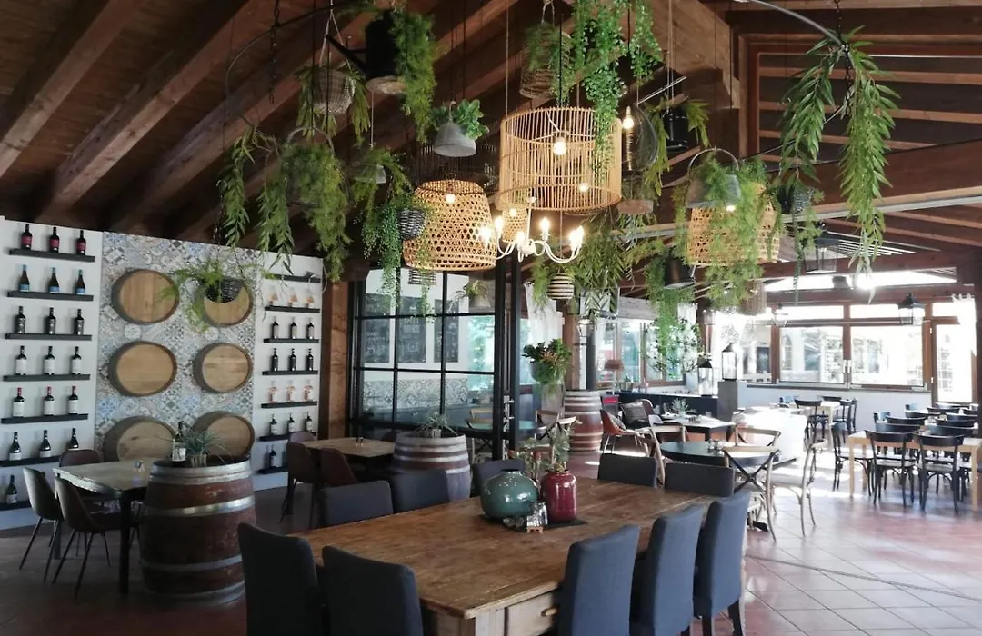 Chianti Glamping Resort-1