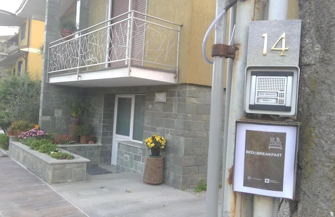 B&B Magenta-1