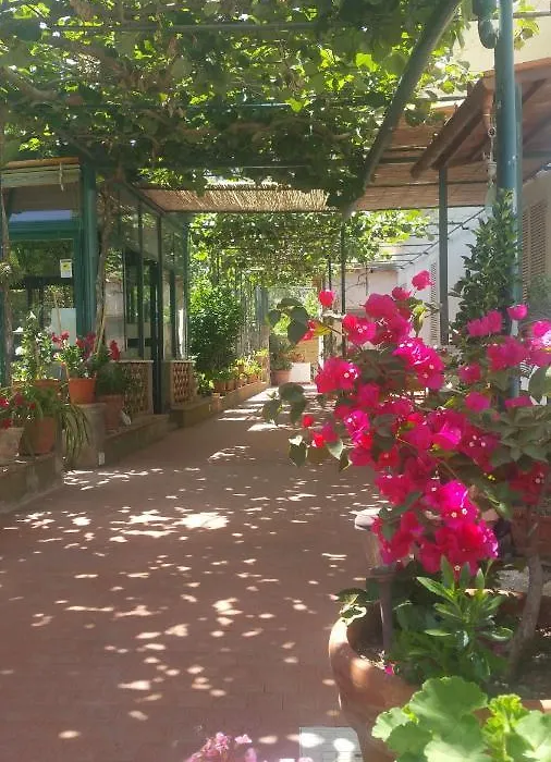 Villa dei fiori B&B-1