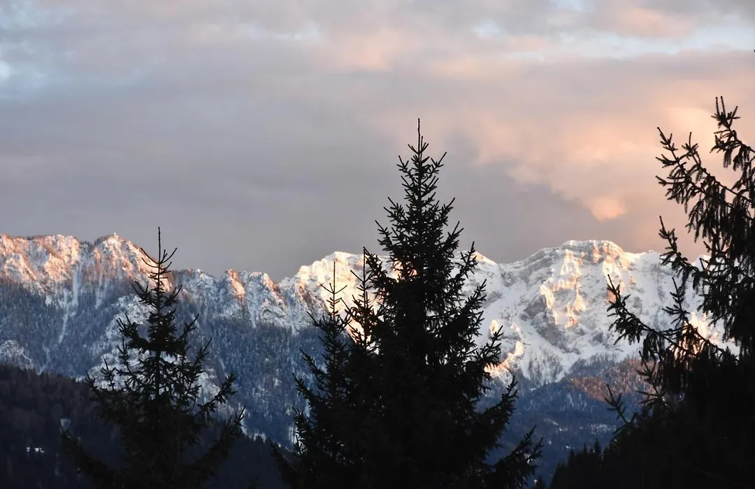 The "Small" Alpine Chalet & Dolomites Retreat-1