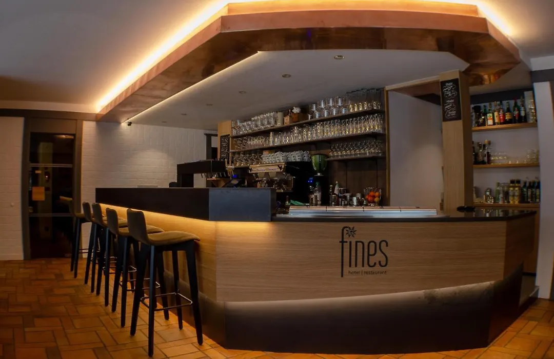 Hotel Fines-1