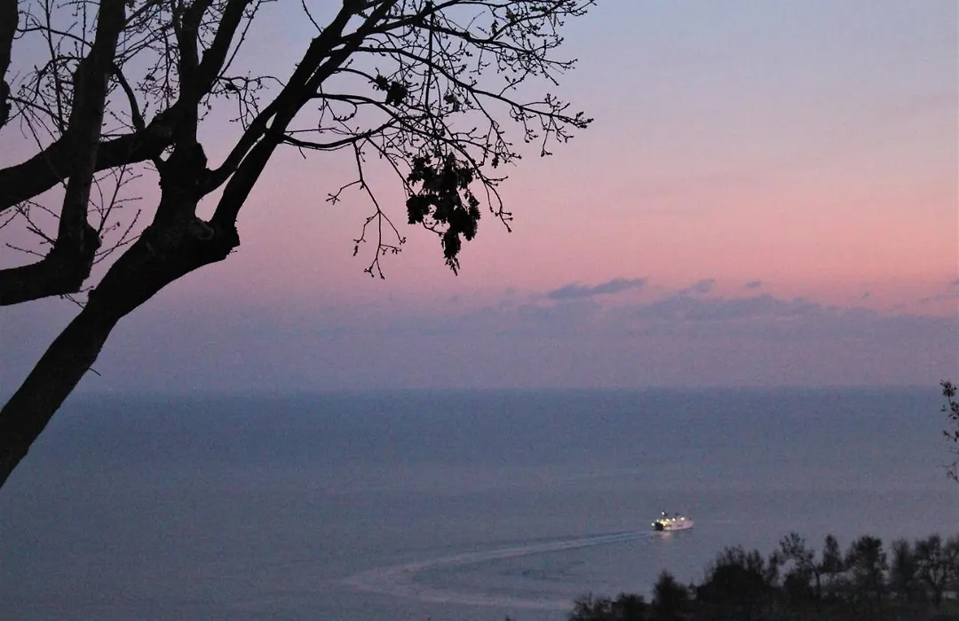 Villa Treglia b&b-1