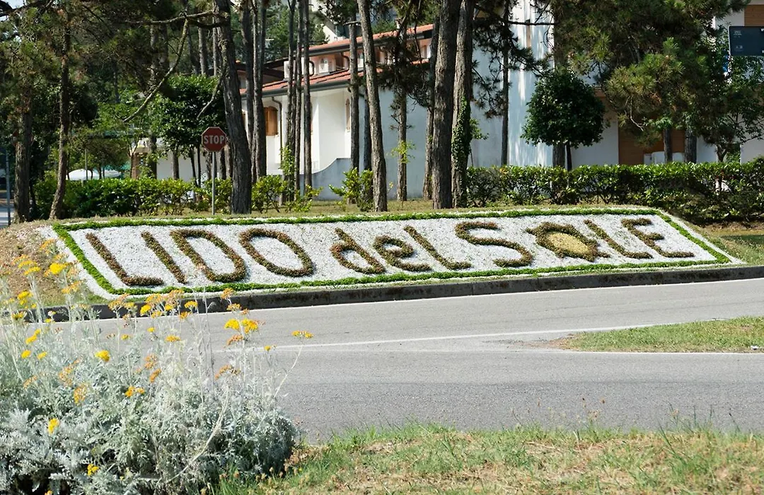 Girasoli-1
