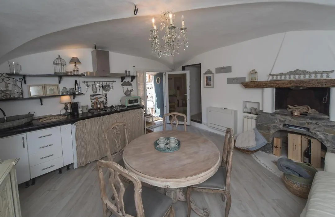 Salsedine Relais-1