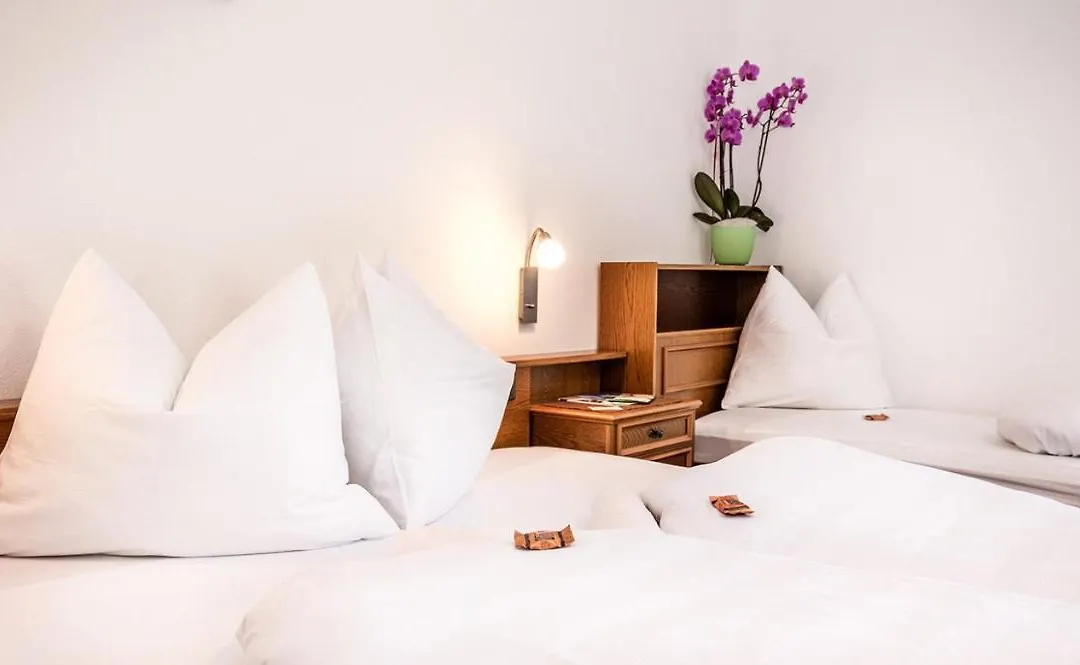 Hotel Linde-1