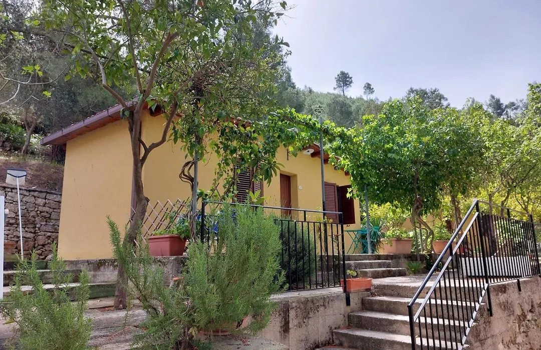 Terme Acqua Pia-1