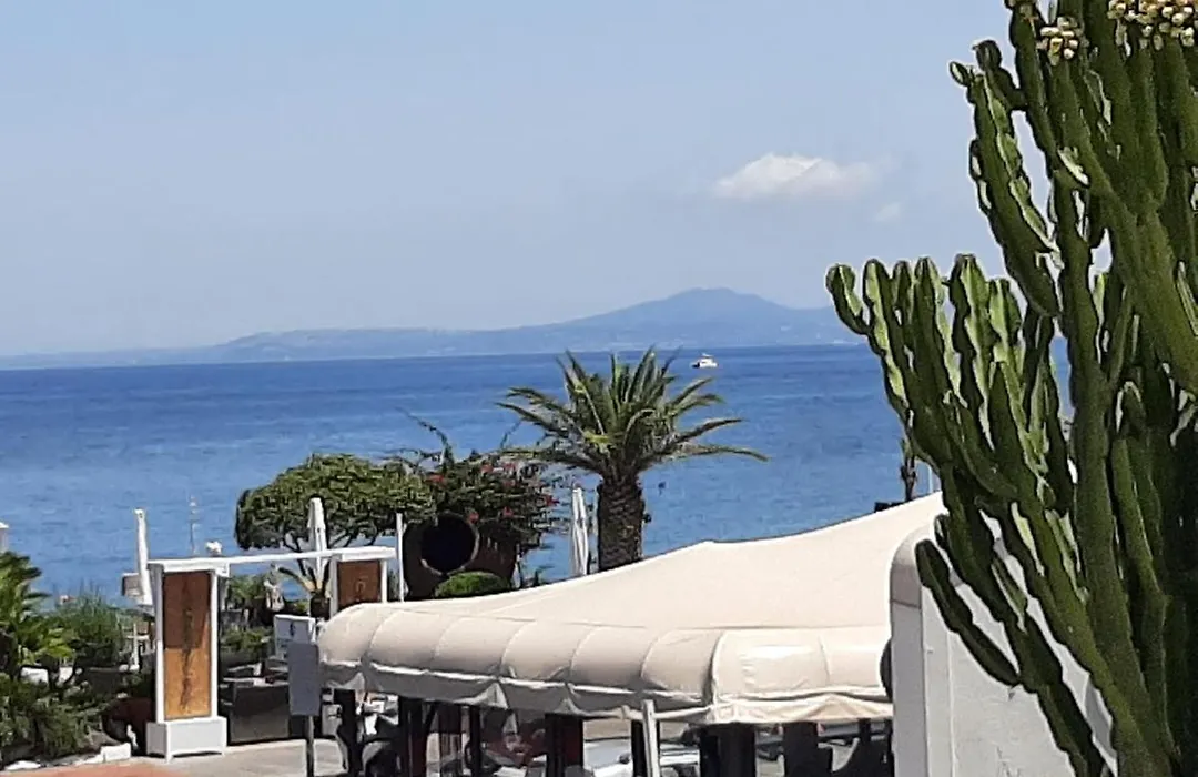 La Terrazza Dell^Ippocampo #Seaview Apartment-1
