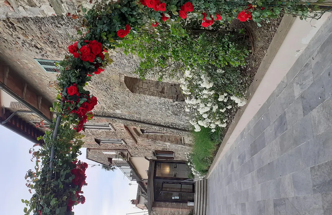 Hotel Le Macine-1