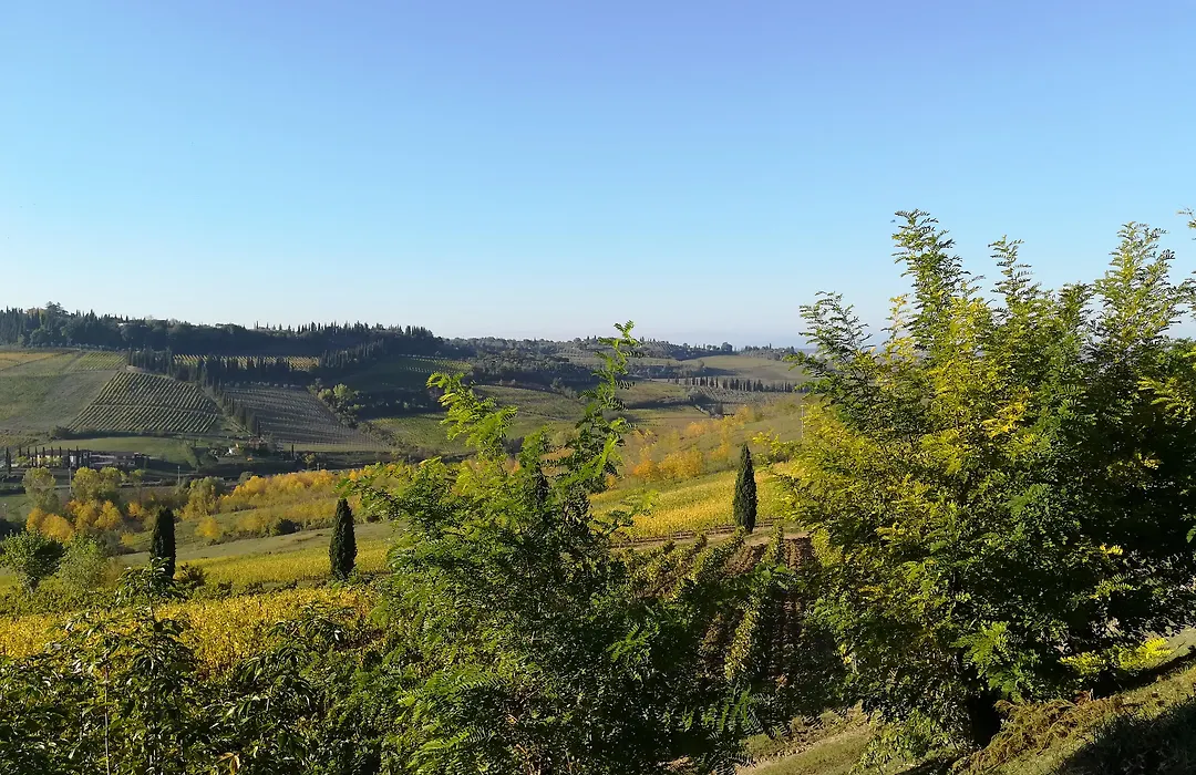 Poderi Arcangelo-1
