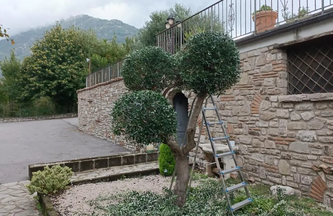 Country House-1