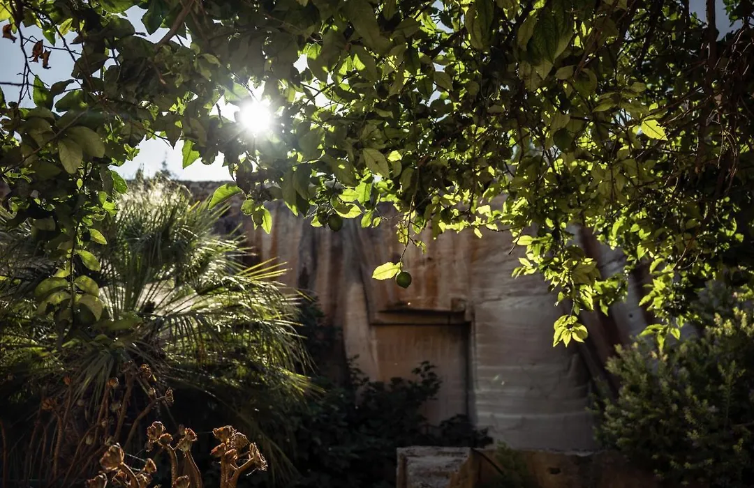 Giardino dell'impossibile-1