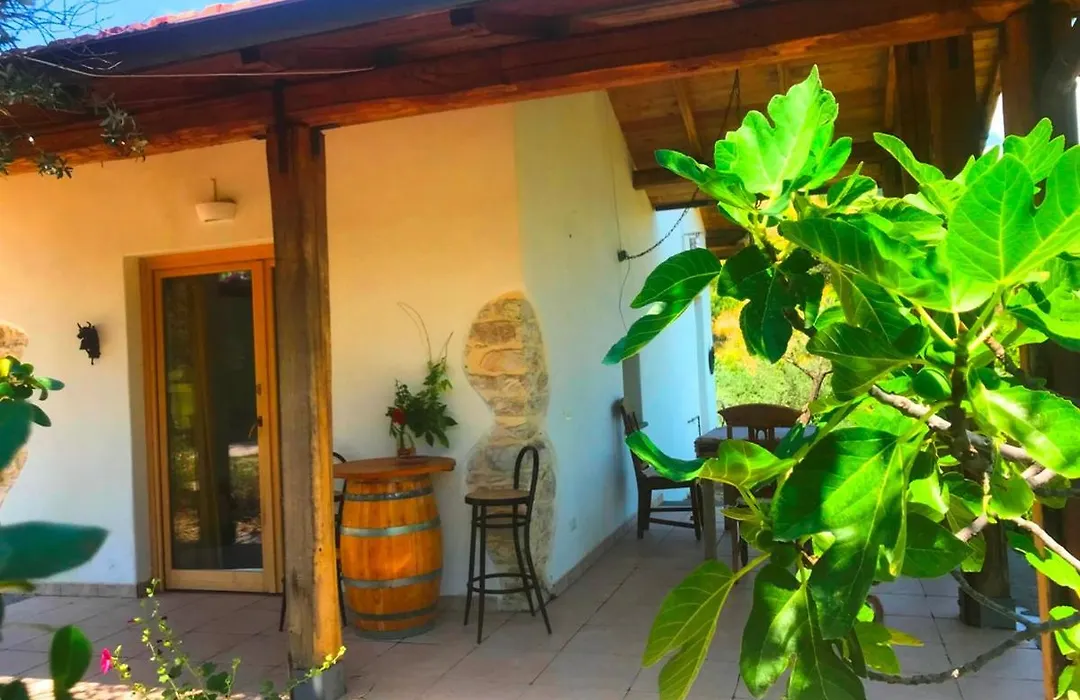 Tenuta del Casale del Jazz - Jazz Emotional Experience - Rooms&Camping in the Countryside-1