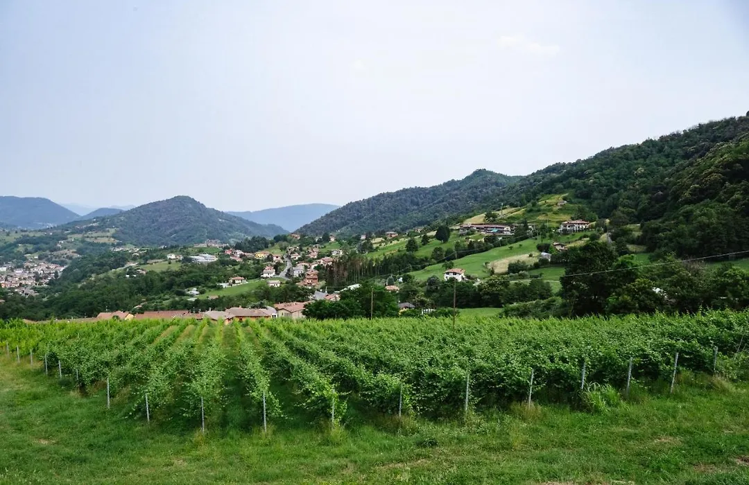 Agriturismo Podere Cavaga Lago d'Iseo Agribio Winery-1