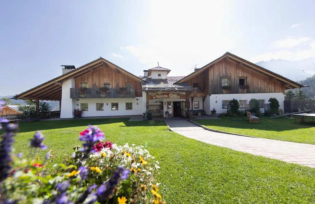Hotel Pension Odles-1