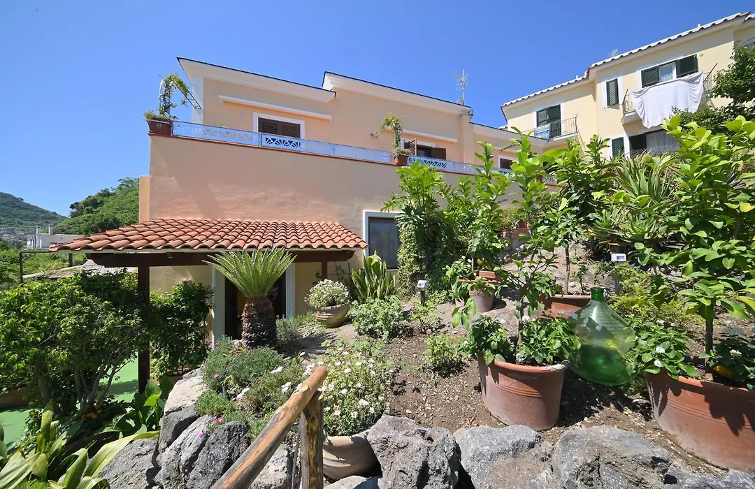 La Rosa - Luxury B&B-1