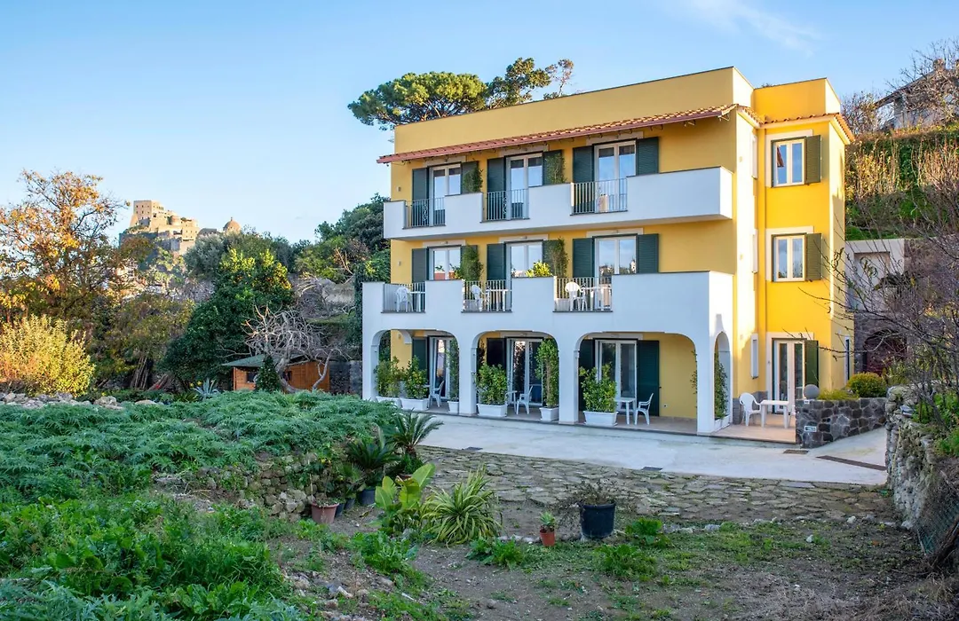 B&B La Vigna - Ischia Ponte-1