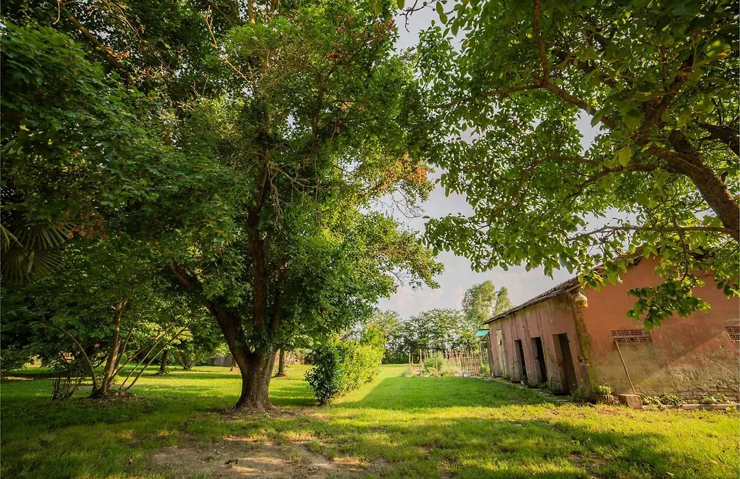 Tenuta Ca' Zen-1